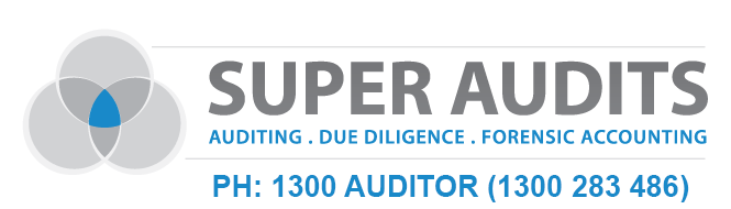 Super Audits Logo bluetext3